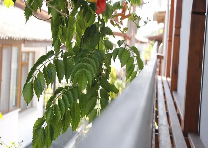 Hotel Limon 2 Akyaka (Mugla)